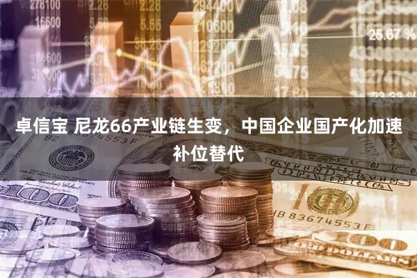 卓信宝 尼龙66产业链生变，中国企业国产化加速补位替代